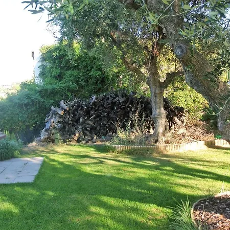 Casa Colin Willa